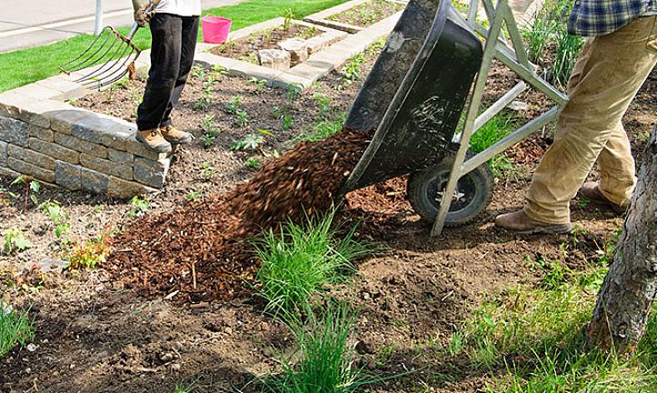 Net als zwarte plastic mulch