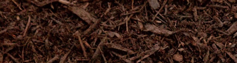 Een veel voorkomende zorg voor huiseigenaren is de dreiging dat een laag mulch die naast een huisfundering
