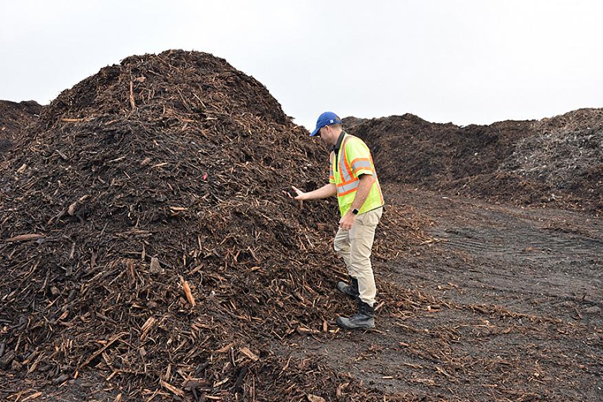 Voordat u uw decoratieve mulch aanbrengt (houtsnippers