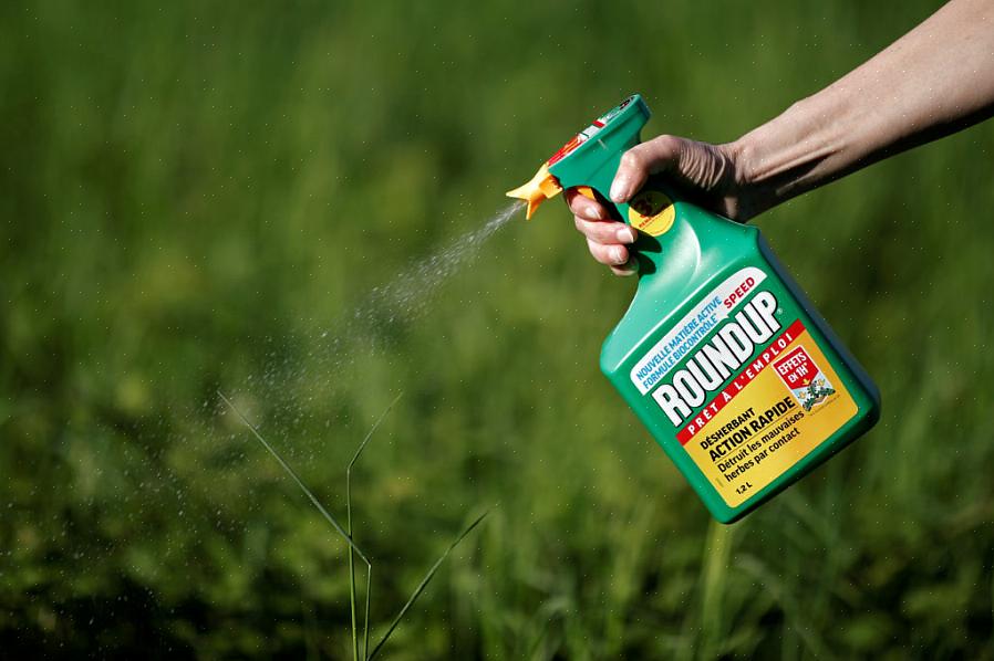 Maar de meeste populaire merken bevatten meestal een in water oplosbare meststof met een hoog