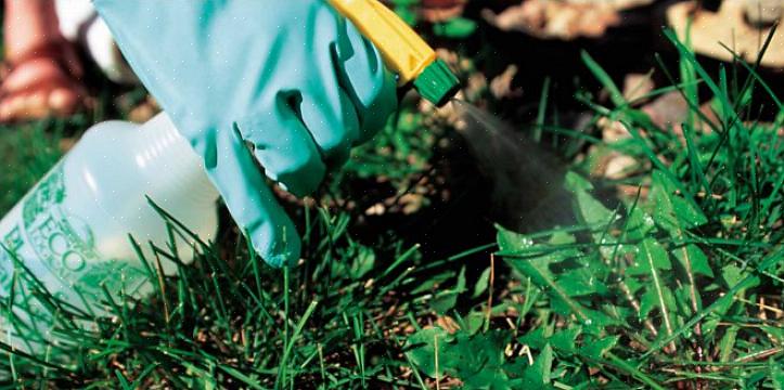 Chemische onkruidverdelgers kunnen