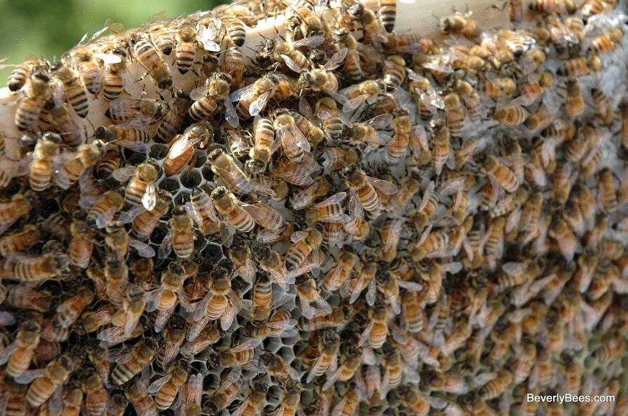 U moet maximaal drie diepe dozen hebben om te combineren