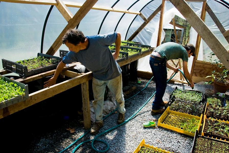 Een van de belangrijkste huurders van biologisch tuinieren is