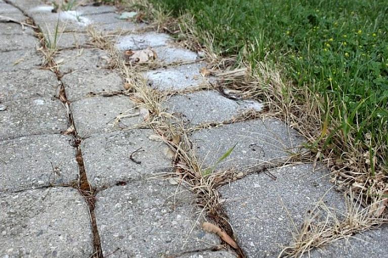 Trottoirs bevatten verrassend veel aarde