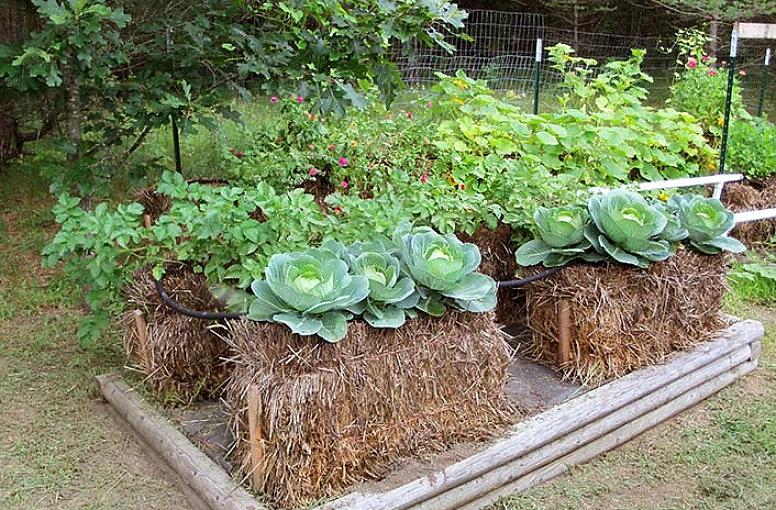 Deze heb je nodig om een tuin met strobalen te maken