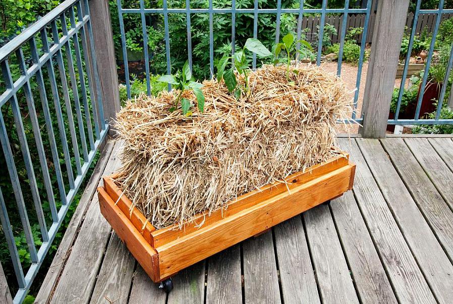 Plaats je tuin met strobalen dan in de buurt van een waterbron