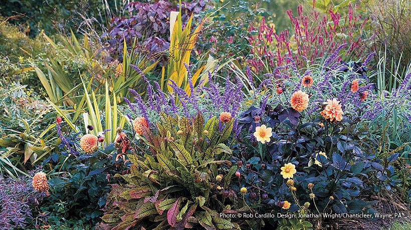 En de bloemen staan ook mooi in de vaas als andere stekplanten uit de tuin vervagen