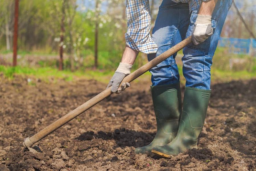 Hoes doet geweldig werk om onkruid op afstand te houden zonder te hoeven bukken