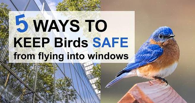 Gestroomlijnde vorm De gestroomlijnde vormen van Birds helpen het vliegen gemakkelijker te maken