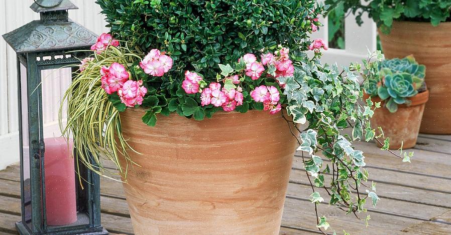 Potvoeten tillen uw plantenbakken van uw terras of terras