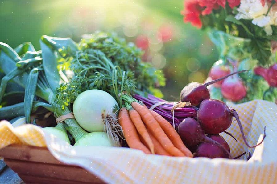 Hier zijn een paar groenten om in september te planten als je in de Gulf Coast-regio woont