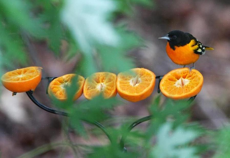 Bied geen verrijkt sinaasappelsap of dranken of frisdranken met sinaasappelsmaak aan in plaats van oriole