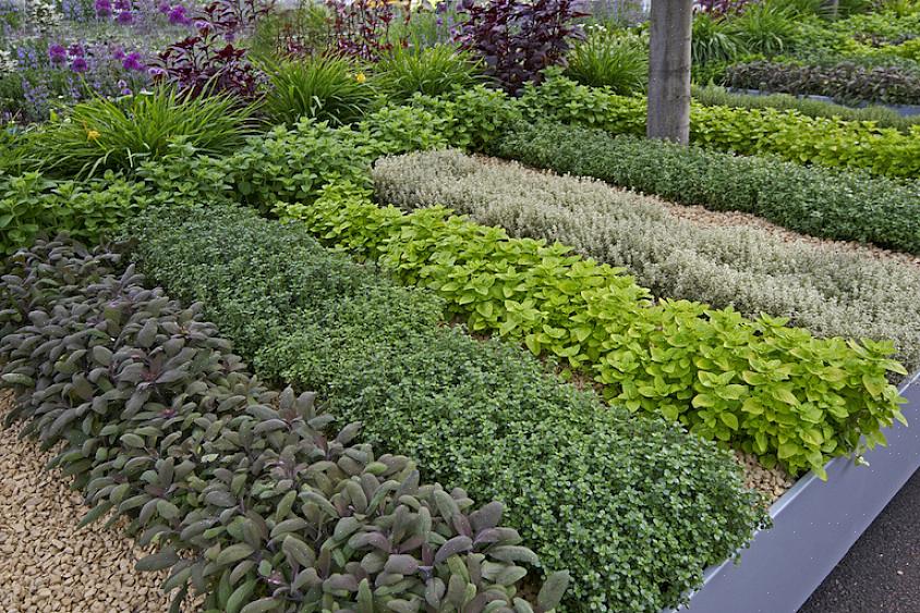 Soms heb je gewoon een grote kruidenplant nodig om iets lelijks te verbergen