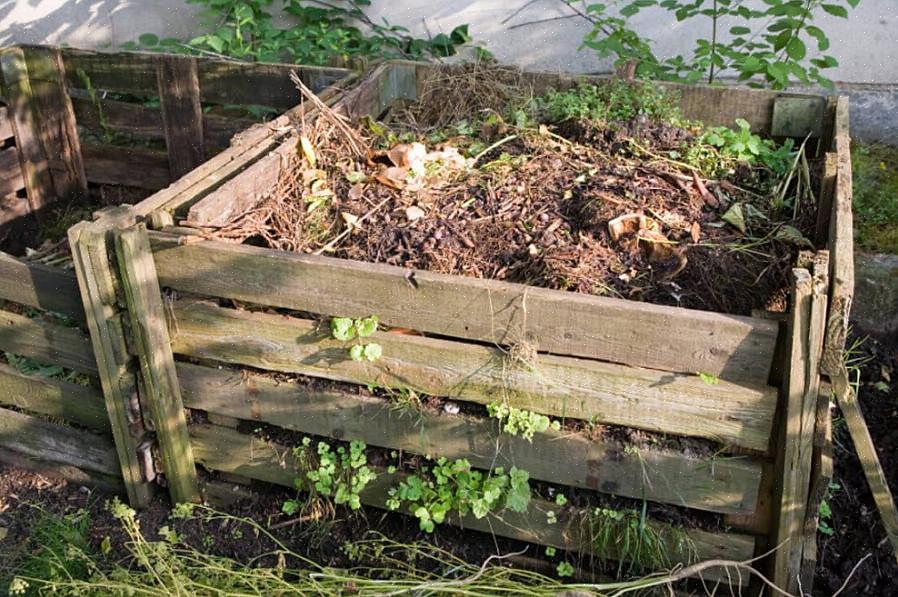 Moedigen de tuinman aan om gewassen te verbouwen die specifiek bedoeld zijn voor de composthoop