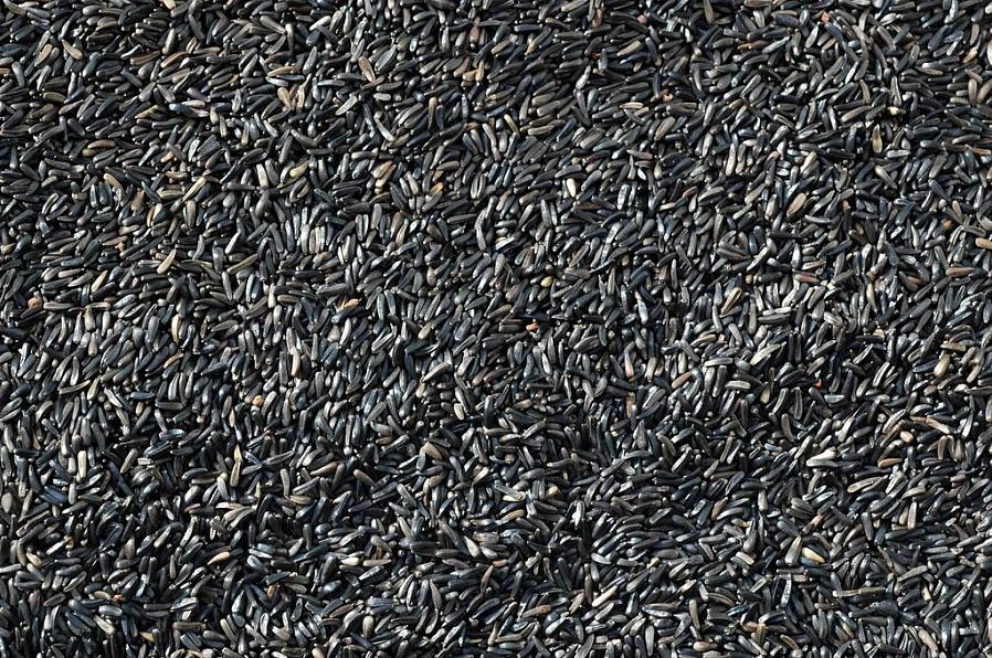 Is het grootste probleem bij het voeren van Nyjer aan vogels in de achtertuin de rotzooi die de rompen