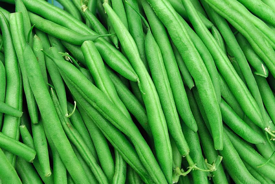 Top Crop-struik biedt ronde
