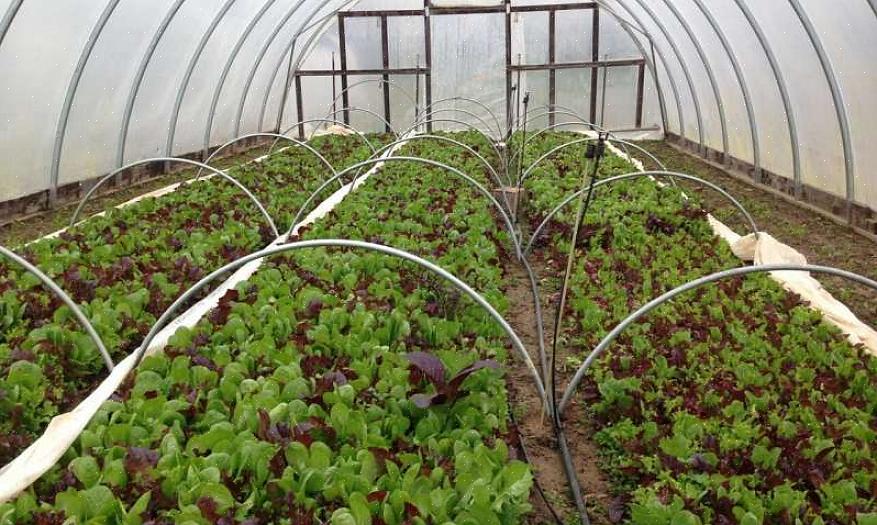 Terwijl de hoge tunnel naar een nieuwe plek wordt verplaatst om nieuwe planten te starten