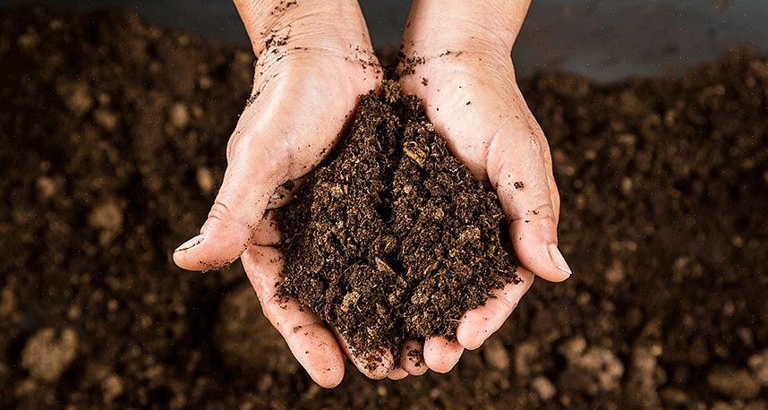 Bodemhorizons variëren afhankelijk van de hoeveelheid zand