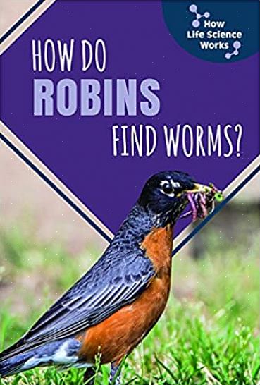 Wormen zijn het ideale voer voor omnivore vogels zoals roodborstjes