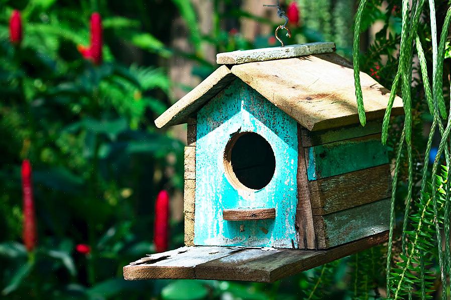 Agressievere vogels kunnen de stal niet binnen
