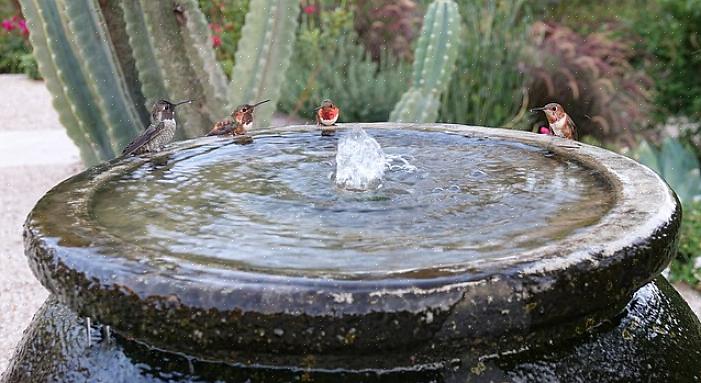 Plaats het vogelbad onder een regenpijp van de goot