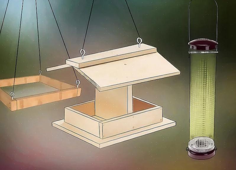 En vogelaars in de achtertuin kunnen afhankelijk zijn van de juiste geluiden om meer vogels