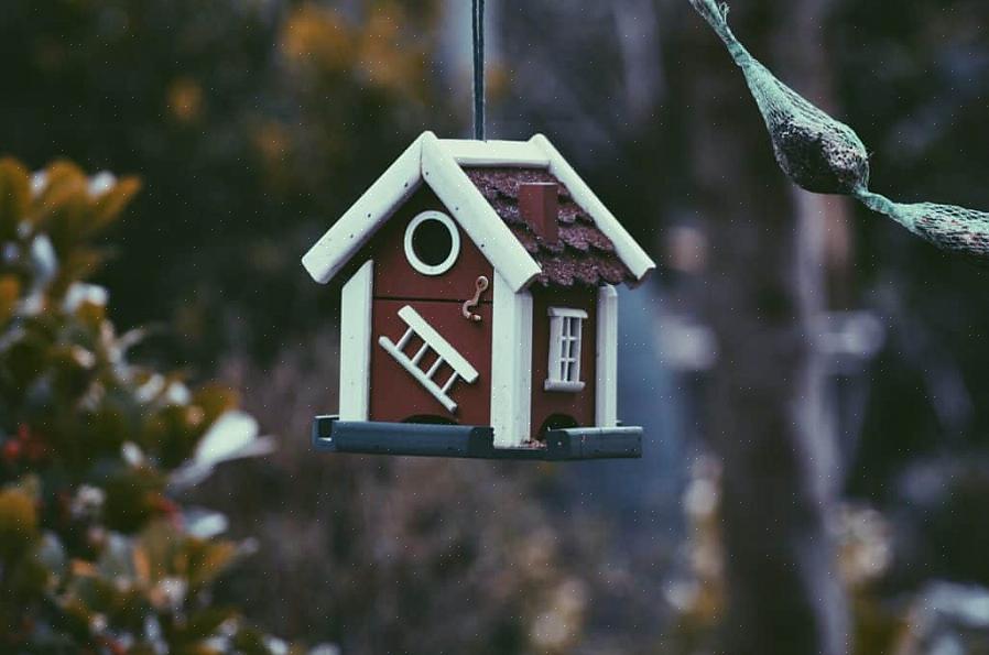 Moeten vogelaars andere manieren vinden om vogels met nestmateriaal aan te trekken zonder de feitelijke