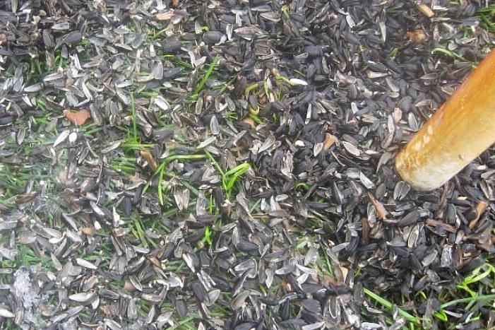 Het kan moeilijk zijn om het gebied onder vogelvoeders schoon