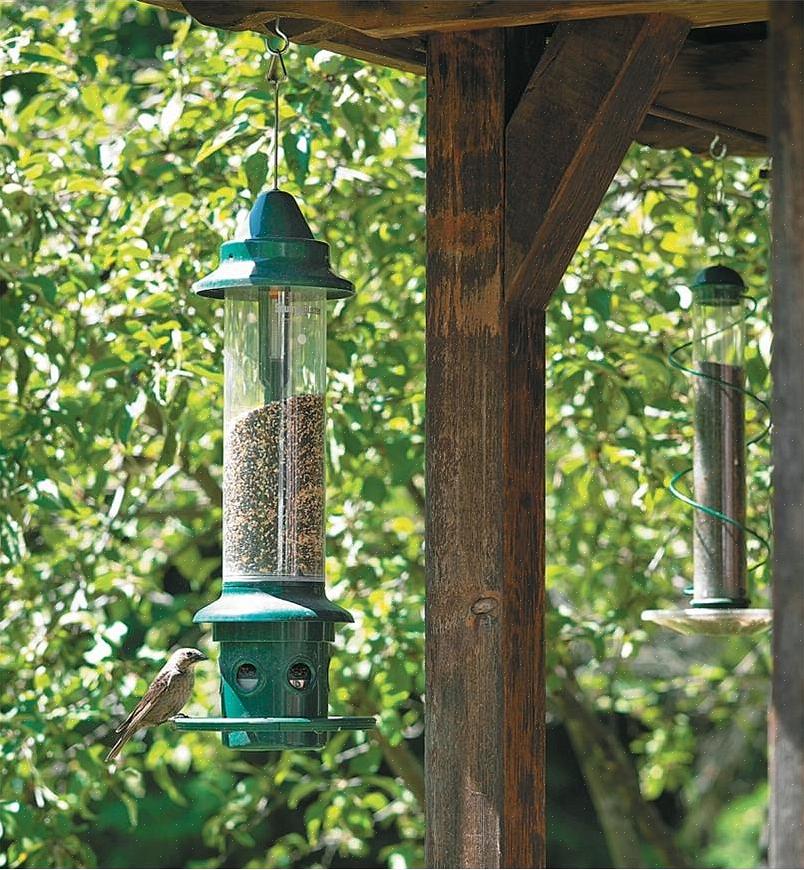 Er zijn veel manieren om een vogelvoederhuis minder toegankelijk te maken voor eekhoorns
