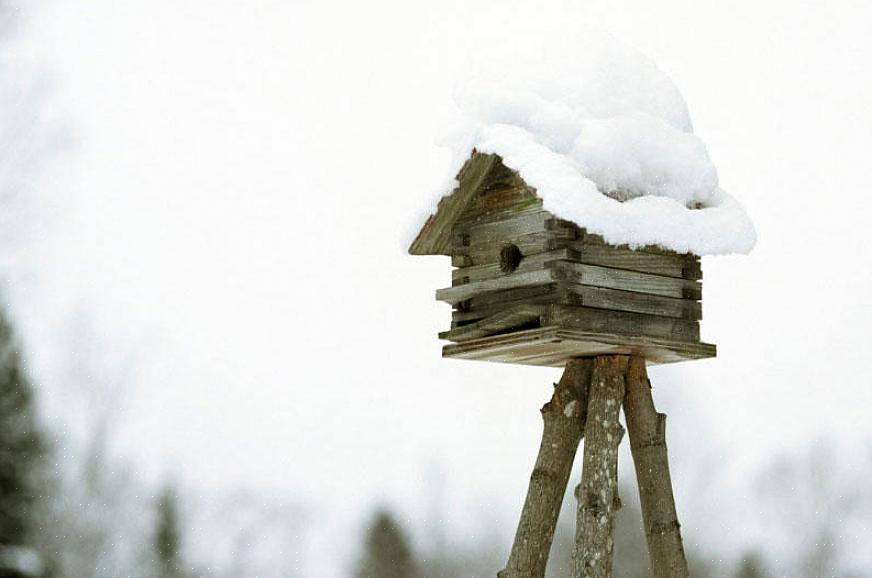 Het ombouwen van vogelhuisjes tot vogelverblijfboxen is eenvoudig