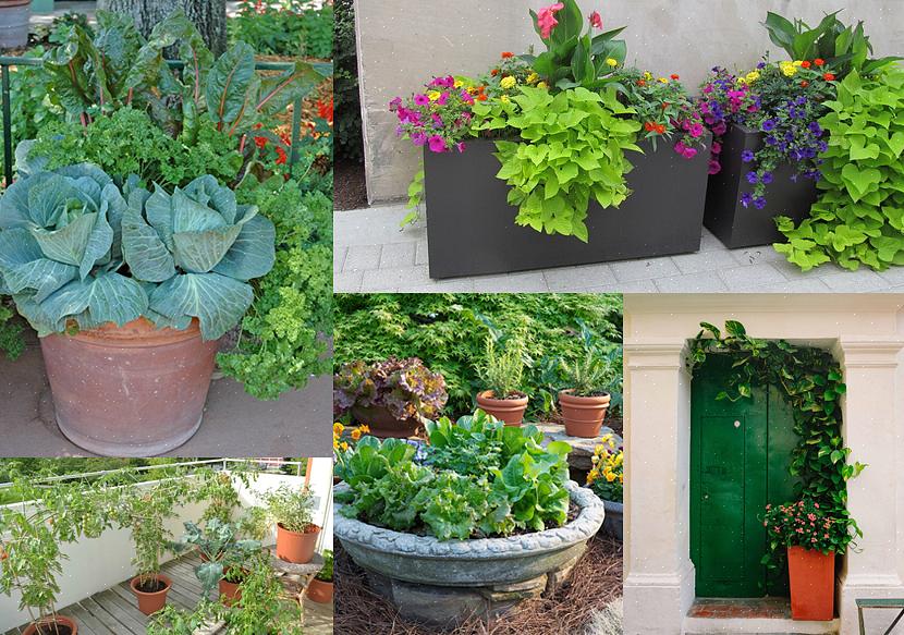 Op de een of andere manier samenhangend gemaakt als er planten langs de zijkanten hangen